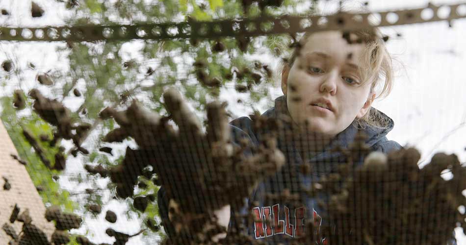 Student running dirt and material through a screen