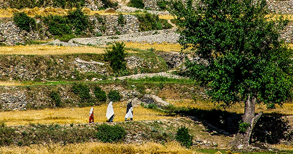 Naray Afghanistan