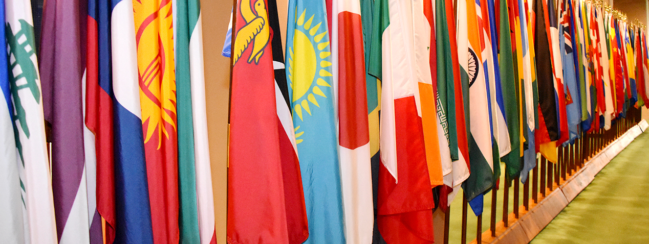 Hallway of flags United Nations building New York City 2019