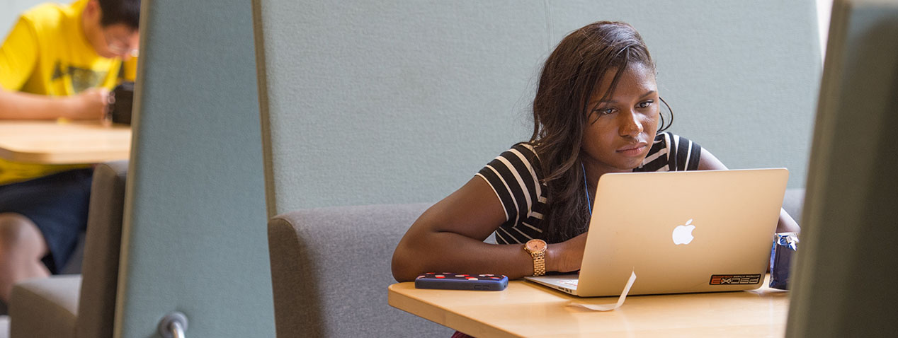 PARCC Student studying on computer