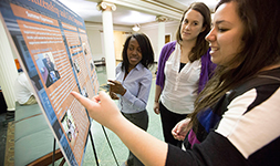 Students learning from posters other students made