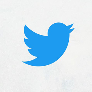 Twitter Logo